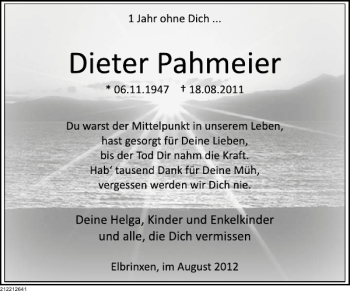 Traueranzeige von Dieter Pahmeier von Deister- und Weserzeitung
