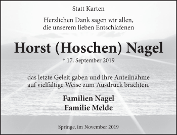 Traueranzeige von Horst Nagel von Neue Deister-Zeitung