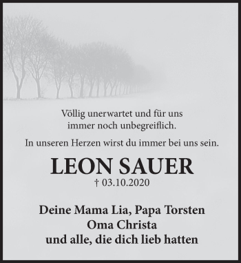 Traueranzeige von Leon Sauer von Deister- und Weserzeitung