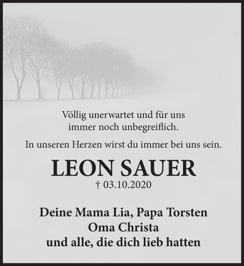  Traueranzeige für Leon Sauer vom 17.10.2020 aus Deister- und Weserzeitung