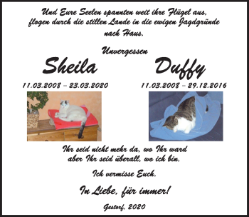 Traueranzeige von Duffy  von Neue Deister-Zeitung