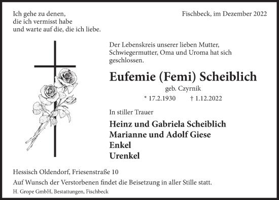 Traueranzeige von Eufemie Scheiblich von Deister- und Weserzeitung