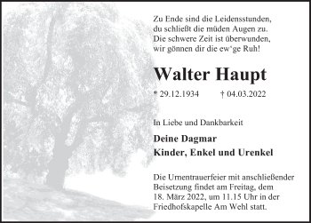 Traueranzeige von Walter Haupt von Deister- und Weserzeitung
