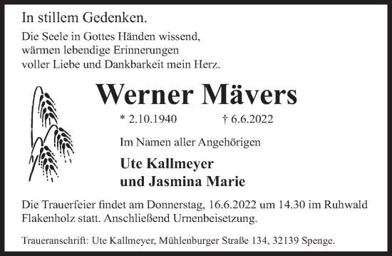Traueranzeige von Werner Mävers von Deister- und Weserzeitung