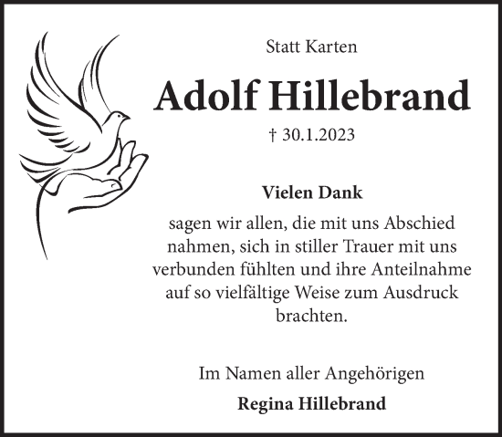 Traueranzeige von Adolf Hillebrand von Neue Deister-Zeitung