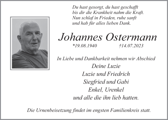 Traueranzeige von Johannes Ostermann von Deister- und Weserzeitung