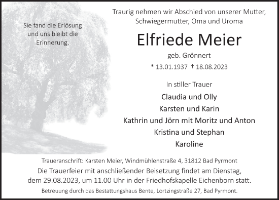 Traueranzeige von Elfriede Meier von Deister- und Weserzeitung