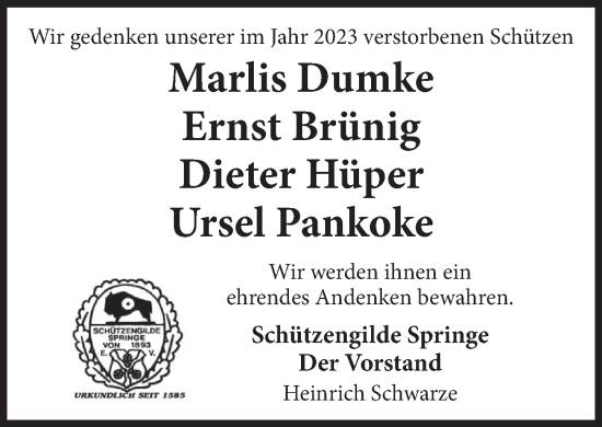 Traueranzeige von Ursel Pankoke von Neue Deister-Zeitung