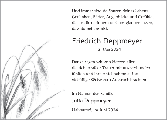 Traueranzeige von Friedrich Deppmeyer von Deister- und Weserzeitung