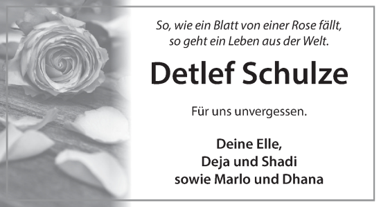 Traueranzeige von Detlef Schulze von Deister- und Weserzeitung